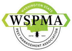 WSPMA